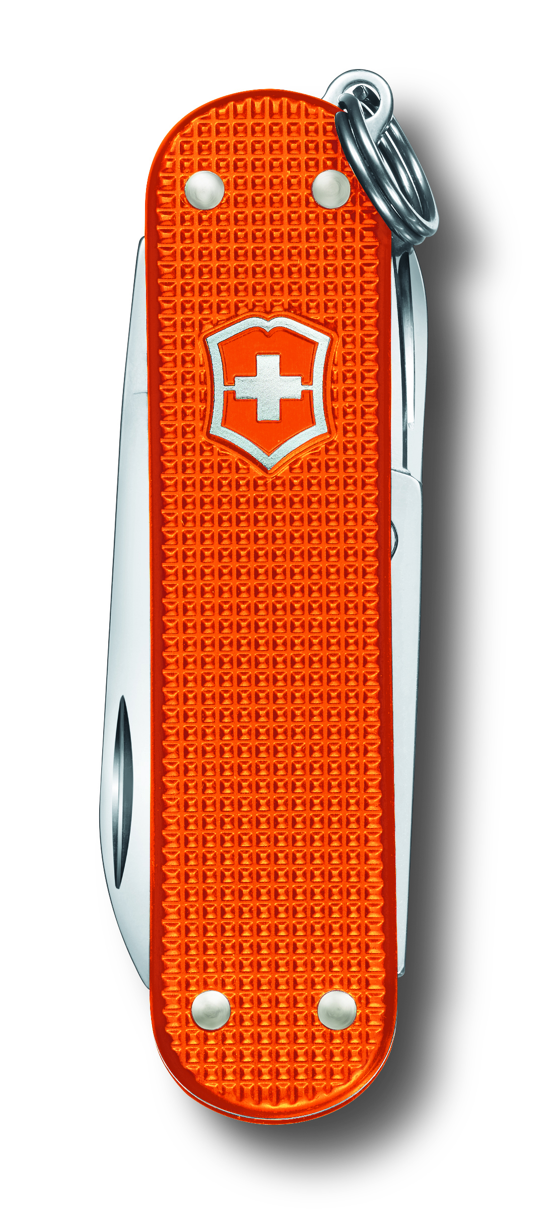 Classic Alox Limited Edition 2021 – Bild 3